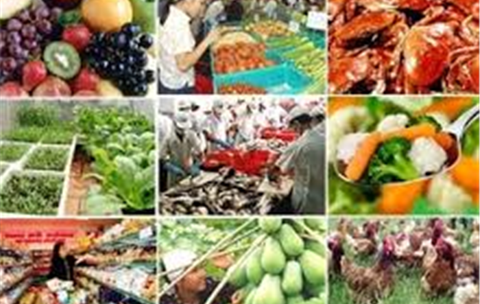 Tăng cường công tác quản lý an toàn thực phẩm nông, lâm, thủy sản