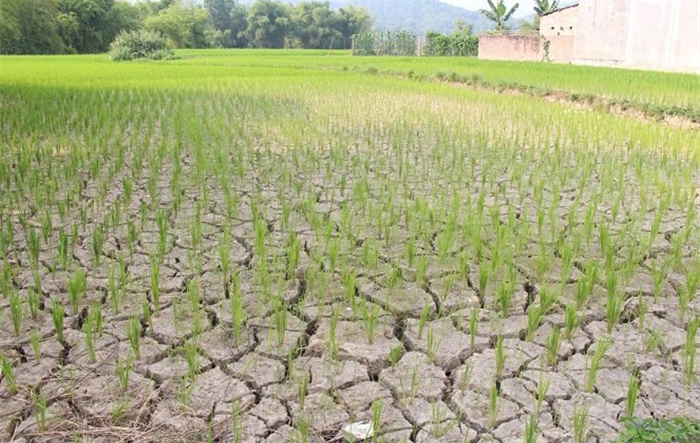 Tăng cường sự lãnh đạo của Đảng đối với công tác ứng phó thiên tai