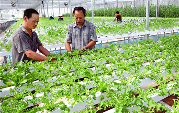Ngành nông nghiệp Thủ đô: Vượt khó để phát triển trong tình hình mới của dịch Covid-19