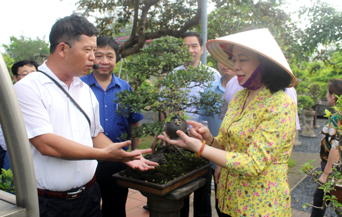 Huyện Thường Tín phấn đấu về đích huyện nông thôn mới trong năm 2020