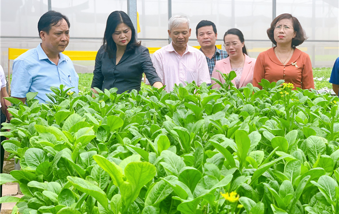 Phó Chủ tịch Trung ương Hội Nông dân Việt Nam thăm các mô hình của Hội Nông dân huyện Gia Lâm