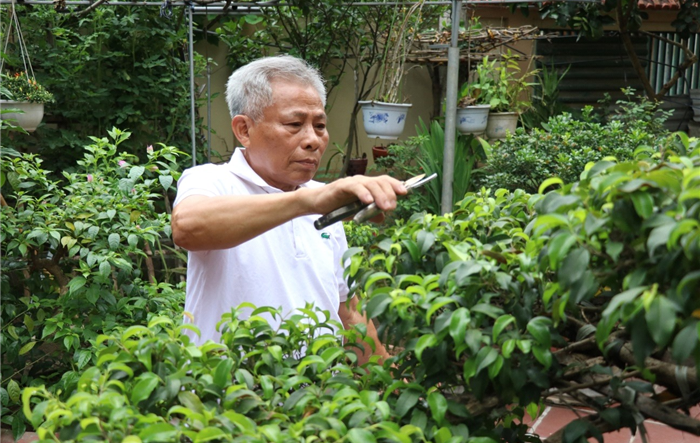 Hội viên Cựu chiến binh huyện Mỹ Đức phát huy phẩm chất "Bộ đội cụ Hồ"