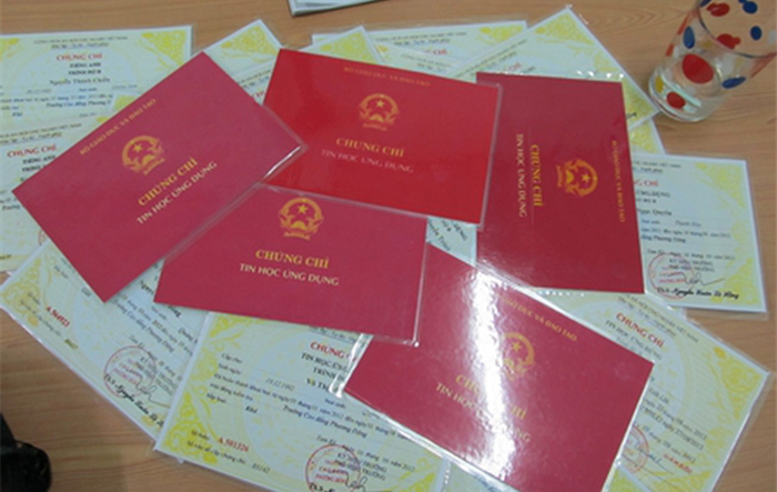 Trong quy định tiêu chuẩn ngạch, chức danh không yêu cầu về chứng chỉ ngoại ngữ, tin học 