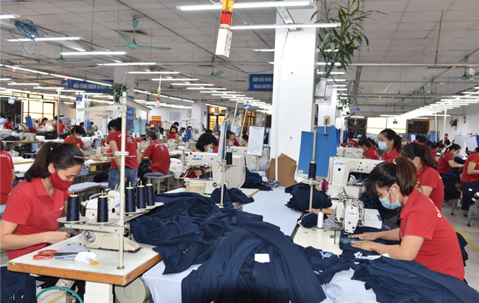 Đẩy mạnh thực hiện chính sách hỗ trợ người lao động, người sử dụng lao động từ Quỹ Bảo hiểm thất nghiệp