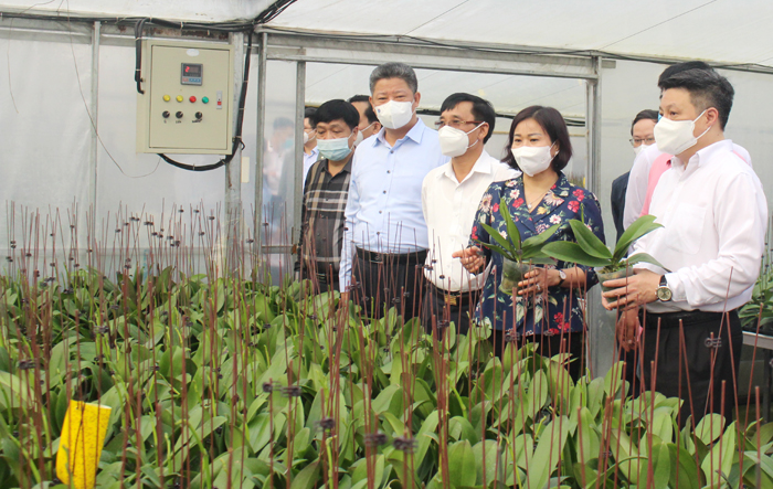 Thanh Oai rà soát các tiêu chí nông thôn mới, gắn với tiêu chí đô thị