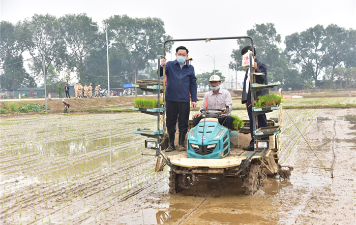 Bí thư Thành ủy, Chủ tịch UBND thành phố Hà Nội xuống đồng  động viên nông dân sản xuất vụ xuân