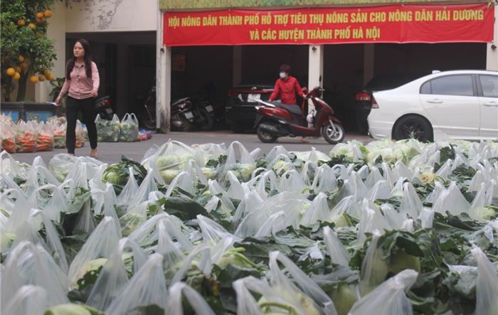 Hội Nông dân Thành phố chung tay tiêu thụ nông sản cho tỉnh Hải Dương