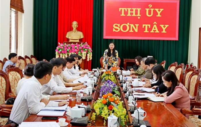 Đoàn kiểm tra số 8 của Thành ủy kiểm tra công tác chuẩn bị bầu cử tại thị xã Sơn Tây
