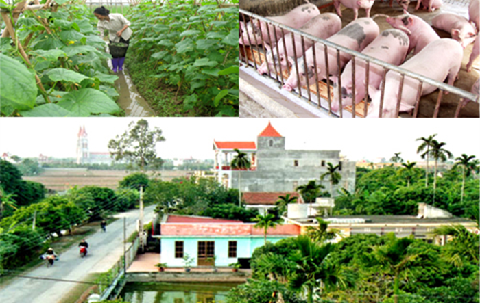 Giám đốc Sở Nông nghiệp và Phát triển nông thôn Thành phố là Tổ trưởng Tổ công tác giúp việc Ban Chỉ đạo Chương trình số 04-CTr/TU 