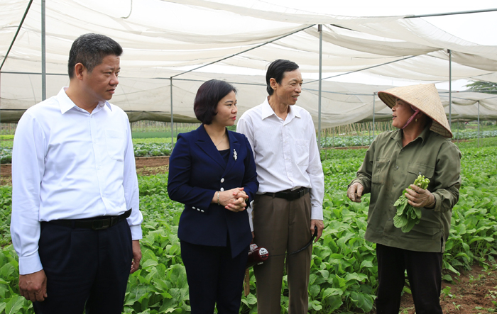 Huyện Chương Mỹ cần tập trung xây dựng nông thôn mới nâng cao, nông thôn mới kiểu mẫu