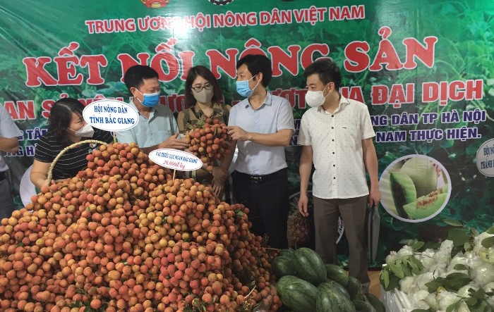 Khởi động mở điểm kết nối, hỗ trợ tiêu thụ nông sản cho hội viên nông dân Thủ đô 