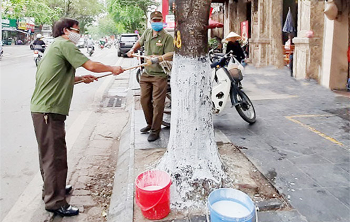 Những cựu chiến binh “tàn nhưng không phế”