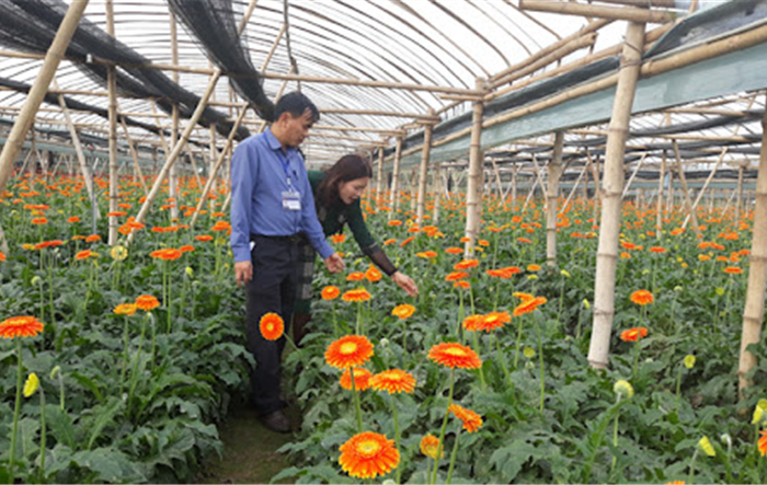 Hà Nội phấn đấu 100% số huyện, xã đạt chuẩn nông thôn mới