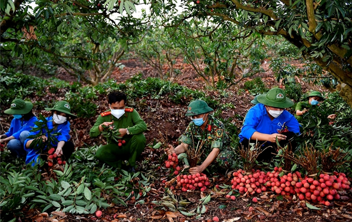 Phòng, chống sự xuyên tạc, phủ nhận vai trò lãnh đạo của Đảng đối với quân đội