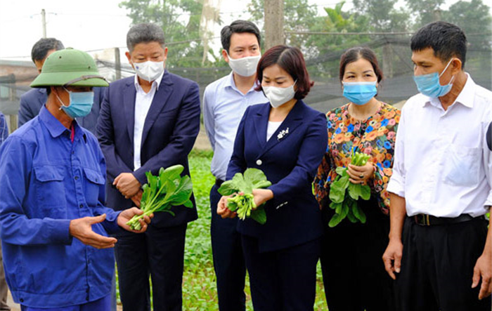 Hà Nội: Chuẩn bị tổng kết việc thực hiện Nghị quyết số 26-NQ/TƯ bằng hình thức phù hợp 