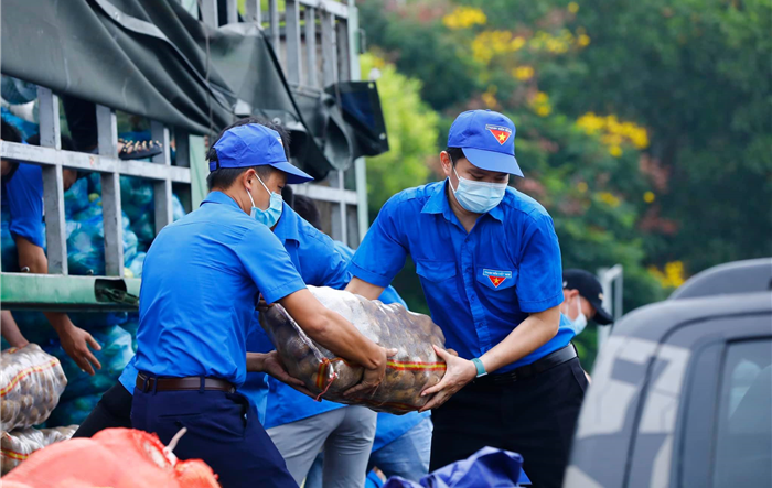 15 tấn nông sản được Tỉnh đoàn Lào Cai gửi tặng Thành đoàn Hà Nội hỗ trợ công tác phòng dịch