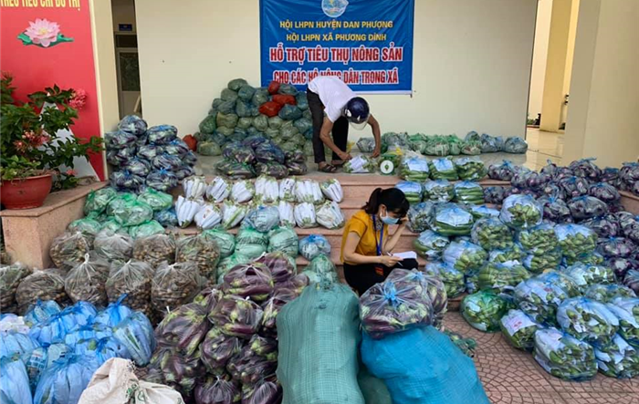 Đan Phượng duy trì sản xuất, đảm bảo nhu yếu phẩm và thực hiện tốt công tác an sinh xã hội trong thời gian thực hiện giãn cách xã hội