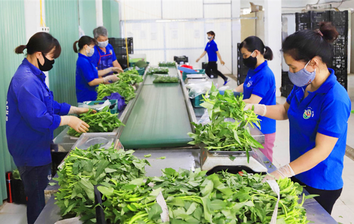 Trưng dụng 5 địa điểm làm nơi tập kết nông sản, hàng hóa thiết yếu phục vụ chống dịch 