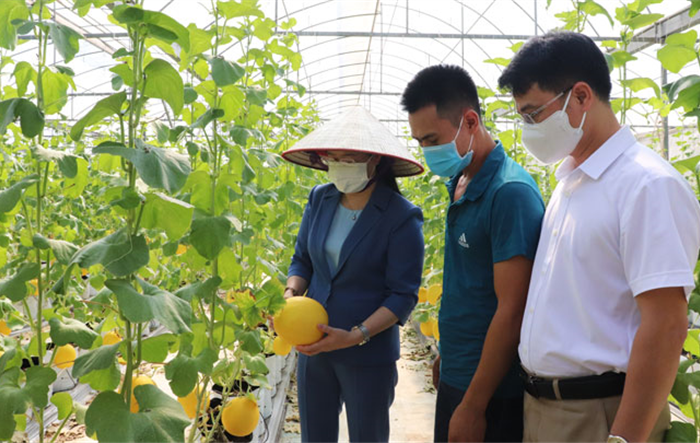 Tập trung, dành nguồn lực đảm bảo hoàn thành các tiêu chí xây dựng nông thôn mới