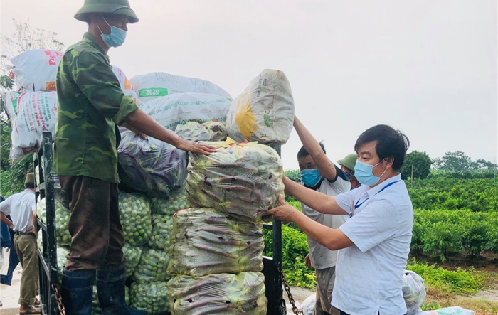Chung tay hỗ trợ kết nối tiêu thụ nông sản cho nông dân huyện Thanh Trì