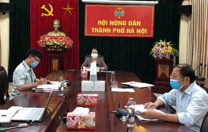Hội nghị giao ban trực tuyến đánh giá kết quả công tác Hội và phong trào nông dân, công tác phòng, chống dịch