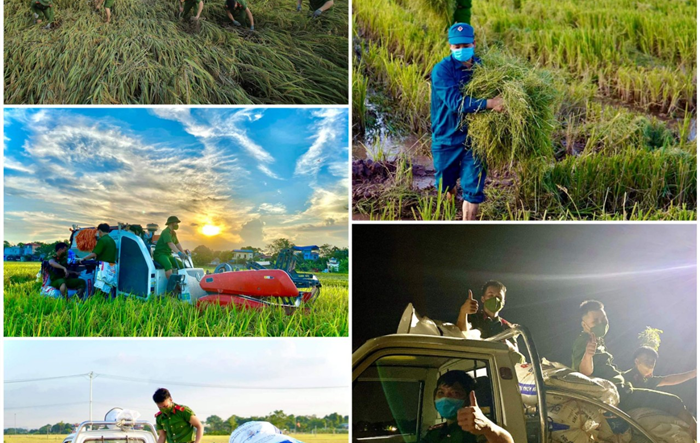 Công an huyện Ứng Hòa thu hoạch lúa mùa giúp người dân vùng phong tỏa xóm 3, thôn Phù Yên, xã Viên An