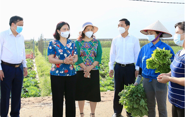 Huyện Phúc Thọ cần tiếp tục thực hiện tốt "nhiệm vụ kép"