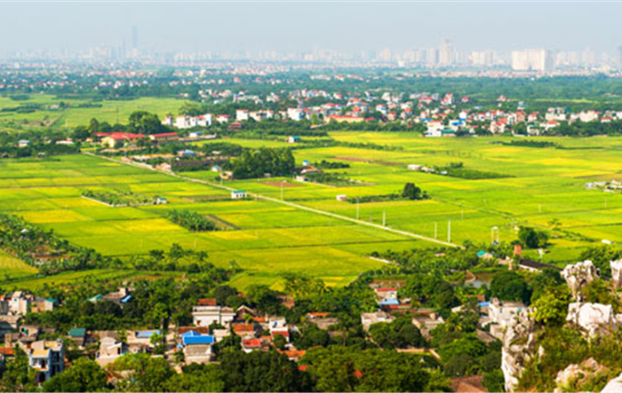 Hà Nội: Đề ra 12 nhóm nhiệm vụ, giải pháp chủ yếu để tiếp tục triển khai thực hiện hiệu quả Nghị quyết số 26-NQ/TƯ