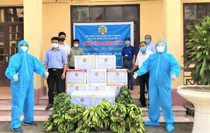 Nông dân Đan Phượng tích cực tham gia cung ứng lương thực chống dịch