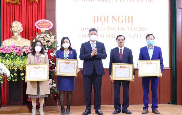 Ngành nông nghiệp Thủ đô: Cơ cấu lại theo hướng sản xuất hàng hóa, chuyên canh tập trung, giá trị cao và bền vững