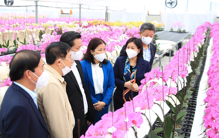 Huyện Đan Phượng: Đẩy mạnh xây dựng nông thôn mới kiểu mẫu, gắn với phát triển Huyện lên quận vào năm 2025