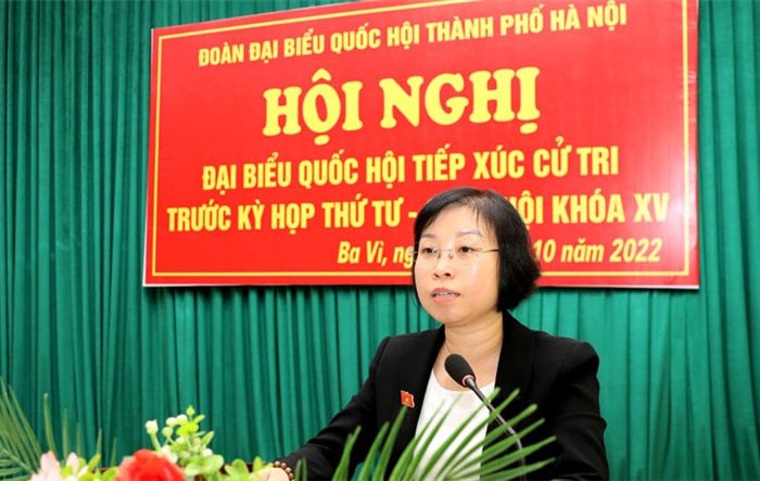 Đại biểu Quốc hội thành phố Hà Nội tiếp xúc với cử tri huyện Ba Vì và thị xã Sơn Tây trước kỳ họp thứ tư, Quốc hội khóa XV