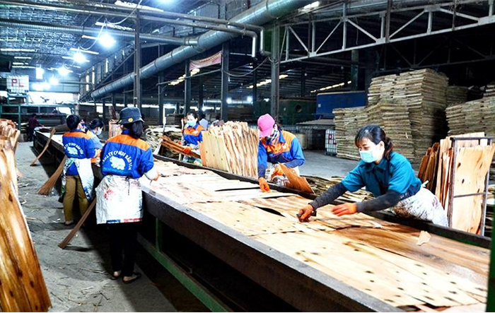 Rõ vai trò tập thể lãnh đạo và người đứng đầu cấp ủy