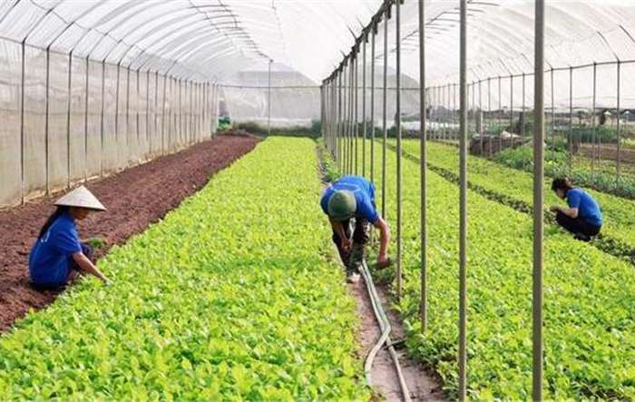 Quy chế phối hợp giữa các cơ quan chức năng trong quản lý nhà nước đối với doanh nghiệp, hộ kinh doanh, hợp tác xã