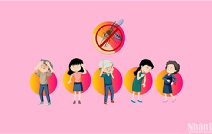[Infographic] Khuyến cáo phòng, chống sốt xuất huyết
