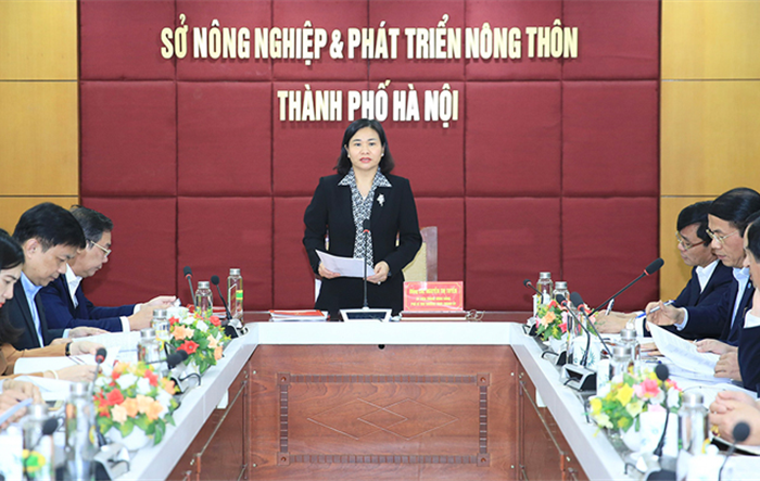 Xây dựng kế hoạch, khắc phục triệt để những hạn chế, khuyết điểm