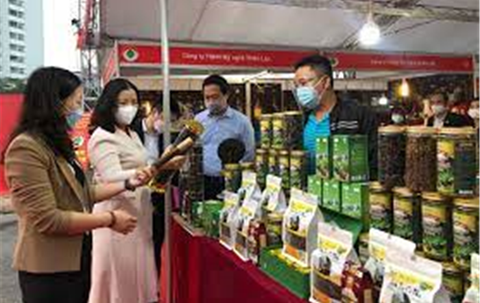 Kích cầu nội địa, tăng tổng mức bán lẻ hàng hóa, doanh thu dịch vụ tiêu dùng 