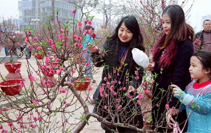 Hà Nội: Triển khai kế hoạch tổ chức các hoạt động trước, trong và sau Tết Nguyên đán 2023