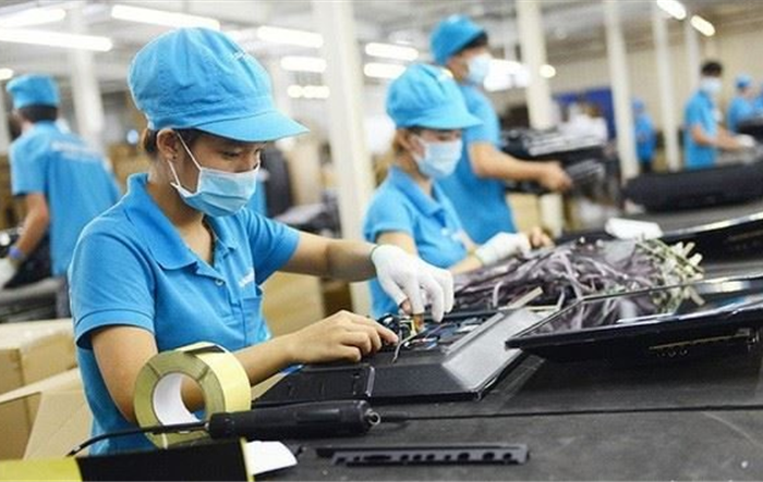 Chính phủ quy định chính sách miễn, giảm thuế theo Nghị quyết số 43/2022/QH15 của Quốc hội