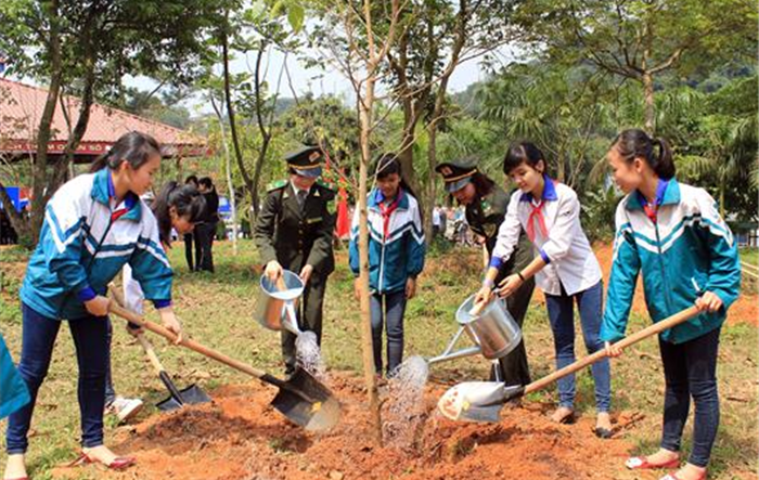 Tiếp tục tổ chức phong trào trồng cây xanh trong ngành giáo dục