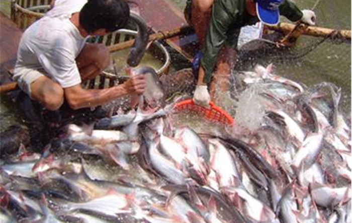 Chiến lược phát triển thủy sản thành phố Hà Nội đến năm 2030, tầm nhìn đến năm 2050