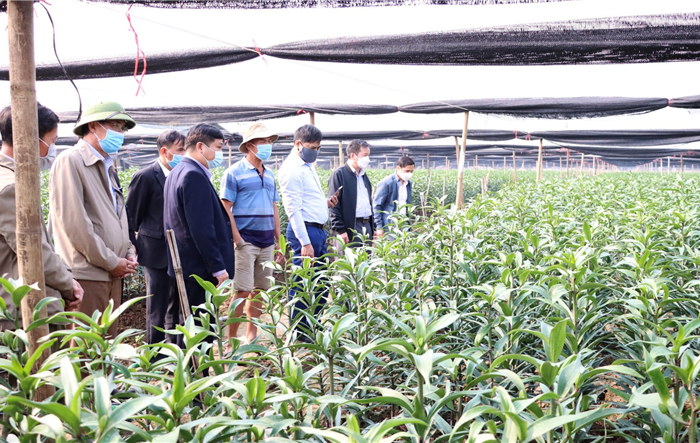 Hà Nội phấn đấu có thêm 25 xã đạt chuẩn nông thôn mới nâng cao