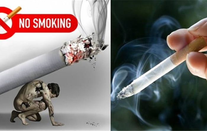 Tổ chức cuộc thi viết tiểu phẩm tuyên truyền về tác hại của việc sử dụng thuốc lá