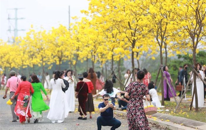 Không tập trung đông người ở đường hoa phong linh đảm bảo công tác phòng, chống dịch Covid-19