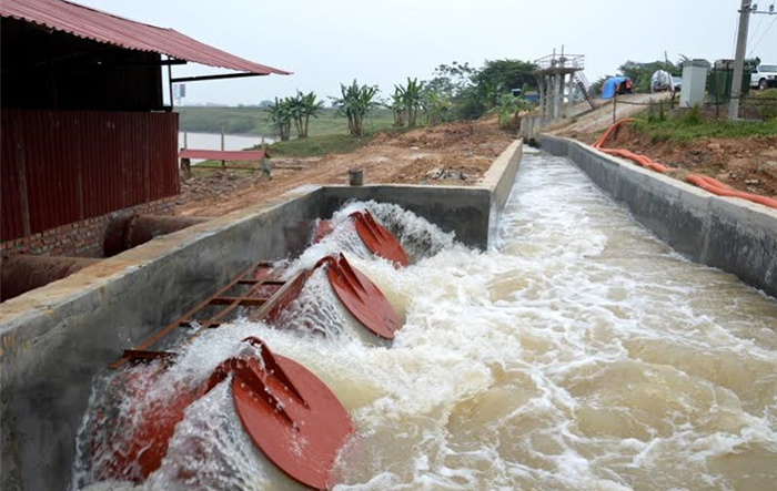Tăng cường công tác quản lý đê điều và chuẩn bị sẵn sàng hộ đê, chống lũ, bão năm 2022