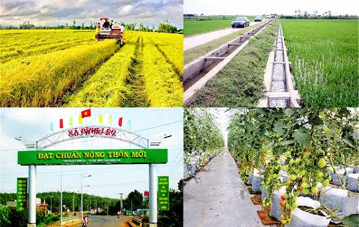  Thực hiện Chương trình mục tiêu quốc gia xây dựng nông thôn mới giai đoạn 2021-2025