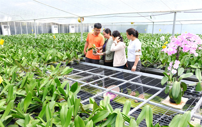 Tăng cường công tác tuyên truyền về các chủ trương, định hướng xây dựng nông thôn mới, nông thôn nâng cao, nông thôn mới kiểu mẫu