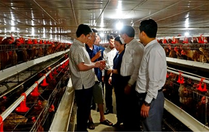 Phó Chủ tịch Trung ương Hội Nông dân Việt Nam thăm quan một số mô hình kinh tế tại thị xã Sơn Tây