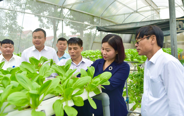 Sóc Sơn: Phấn đấu có 1/3 số xã của Huyện đạt chuẩn nông thôn mới nâng cao