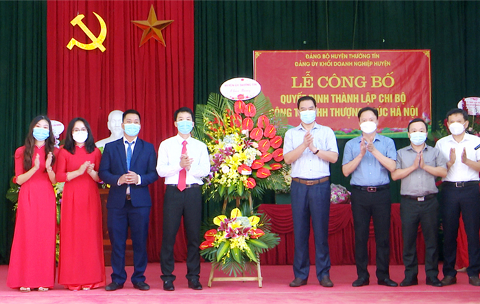 Phát triển Đảng trong doanh nghiệp ngoài khu vực nhà nước: Thực chất và hiệu quả